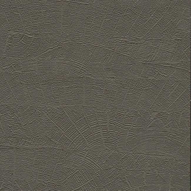 on-deck-high-performance-wallpaper-shadow-york-wallcoverings-nd3064n