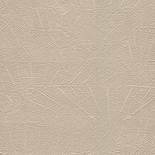 on-deck-high-performance-wallpaper-timber-york-wallcoverings-nd3062n