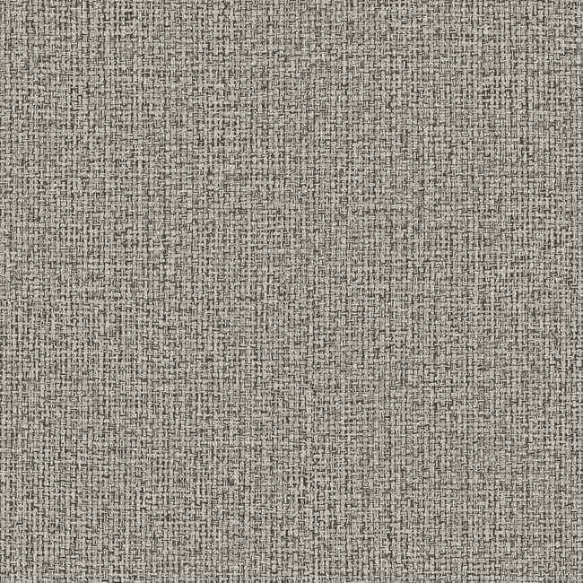 Dandy Grey Wallpaper - York Wallcoverings - ND3010N