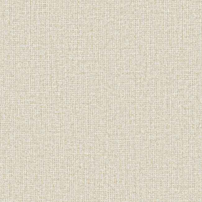Dandy White Wallpaper - York Wallcoverings - ND3007N