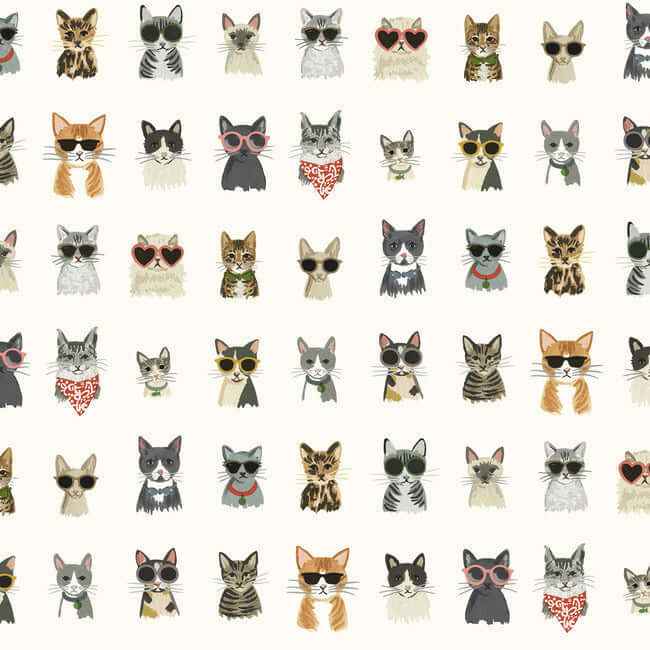 Cool Cats Multi White Peel & Stick Wallpaper - York Wallcoverings - PSW1463RL - York Wallcoverings Wallpaper