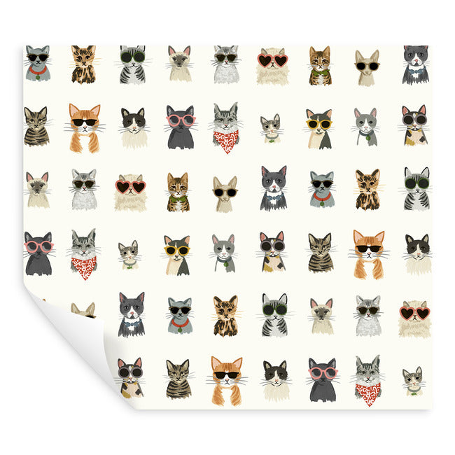 cool-cats-premium-peel-stick-wallpaper-multi-white-york-wallcoverings-psw1463rl