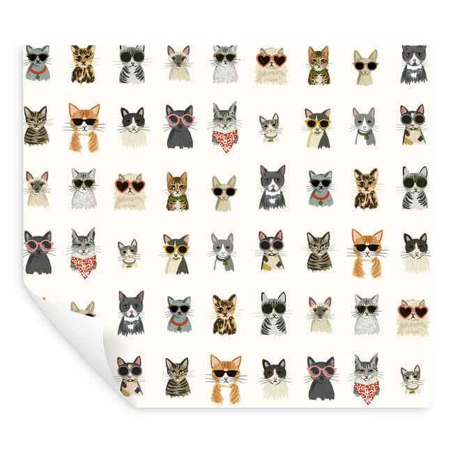 Cool Cats Multi White Peel & Stick Wallpaper - York Wallcoverings - PSW1463RL - York Wallcoverings Wallpaper