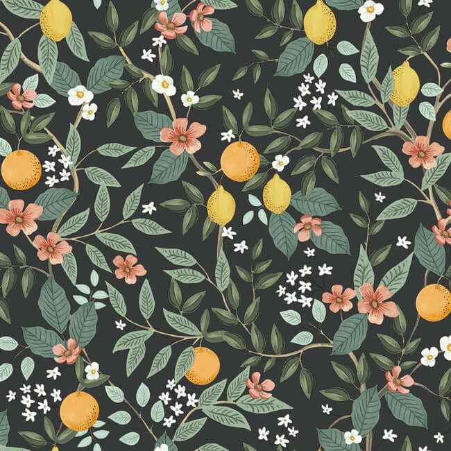 Citrus Grove Black Peel & Stick Wallpaper - York Wallcoverings - PSW1482RL - York Wallcoverings Wallpaper