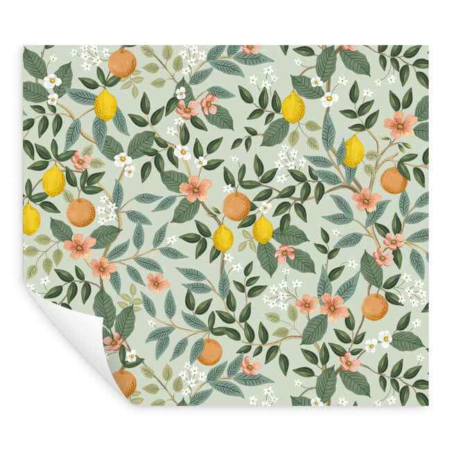 Citrus Grove Mint Peel & Stick Wallpaper - York Wallcoverings - PSW1480RL - York Wallcoverings Wallpaper