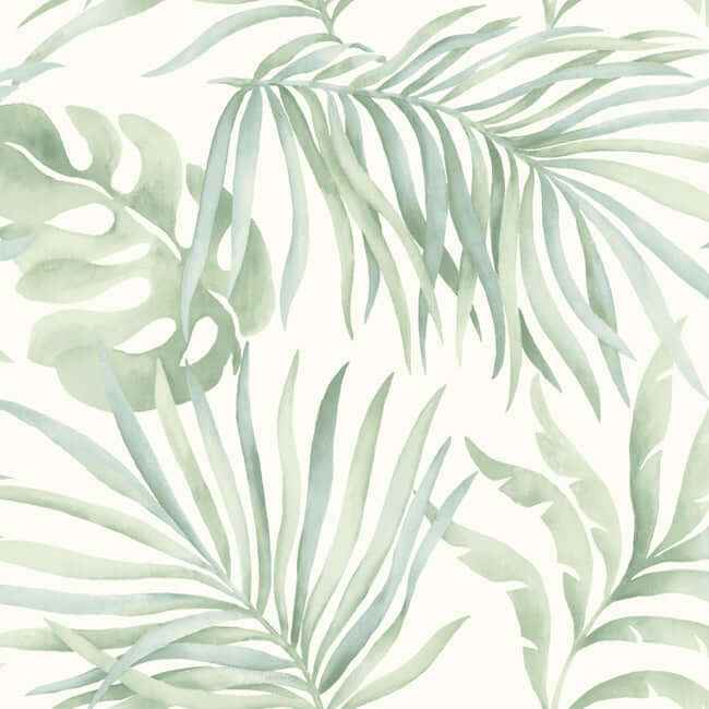 Paradise Palm Aloe Peel & Stick Wallpaper - York Wallcoverings - PSW1413RL