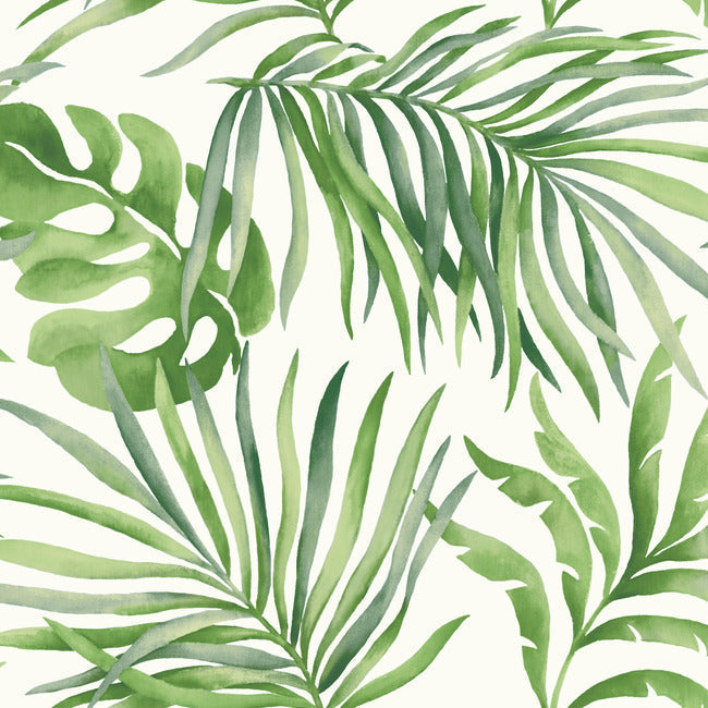 paradise-palm-premium-peel-stick-wallpaper-green-york-wallcoverings-psw1412rl