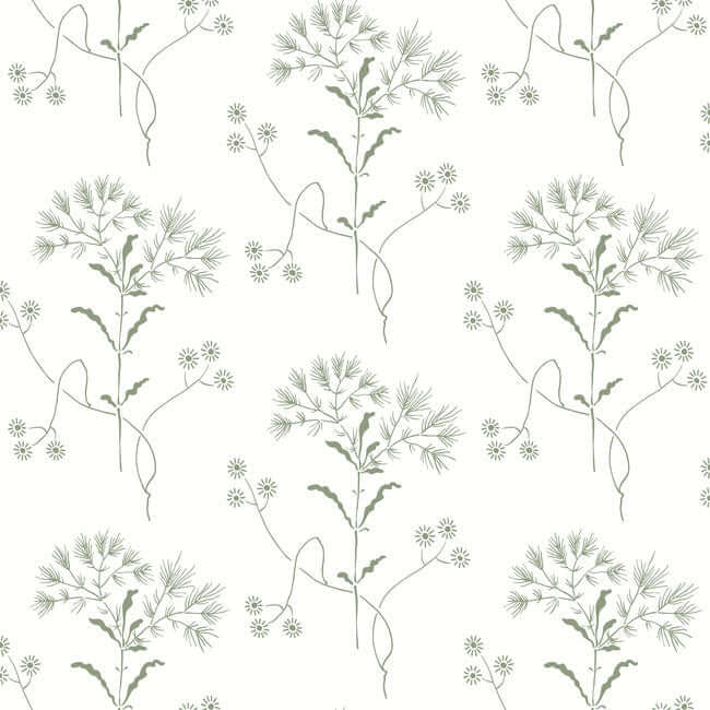 wildflower-green-wallpaper-york-wallcoverings-psw1503rl - York Wallcoverings Wallpaper