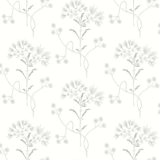 wildflower-grey-wallpaper-york-wallcoverings-psw1502rl - York Wallcoverings Wallpaper