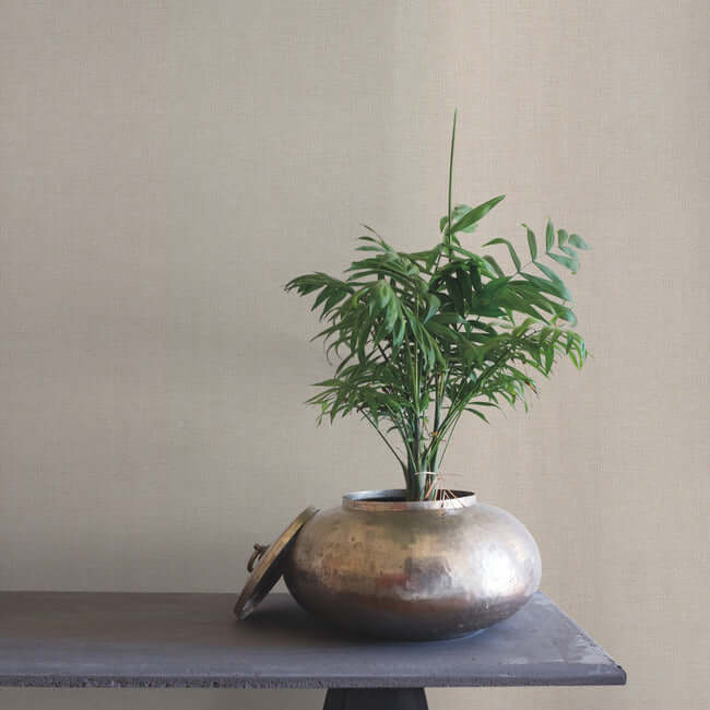 rugged-linen-high-performance-wallpaper-powder-sand-york-wallcoverings-rrd7637 - York Wallcoverings Wallpaper