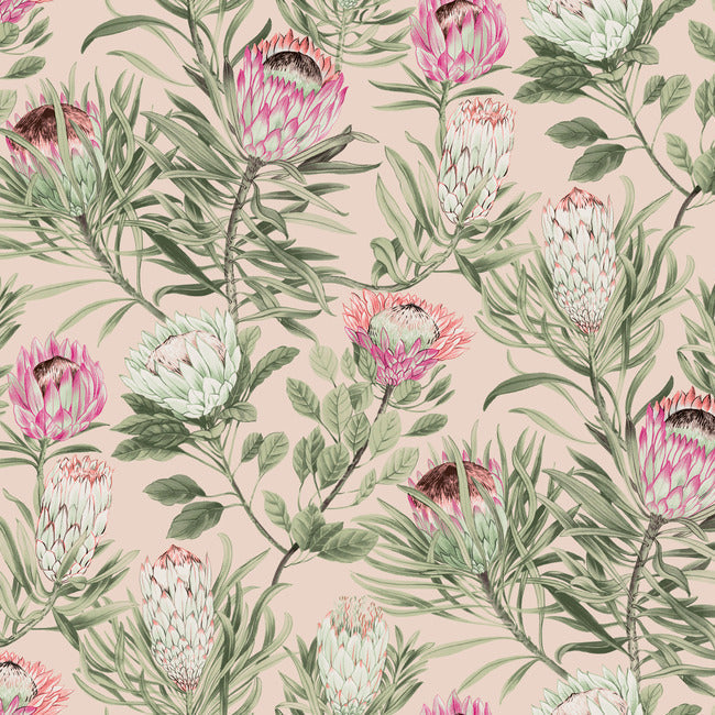 protea-wallpaper-blush-york-wallcoverings-bl1751