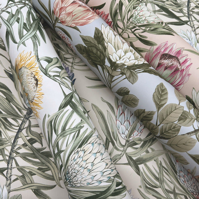 protea-wallpaper-blush-york-wallcoverings-bl1751