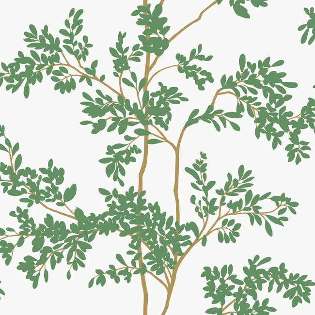 lunaria-silhouette-wallpaper-white-green-york-wallcoverings-bl1801