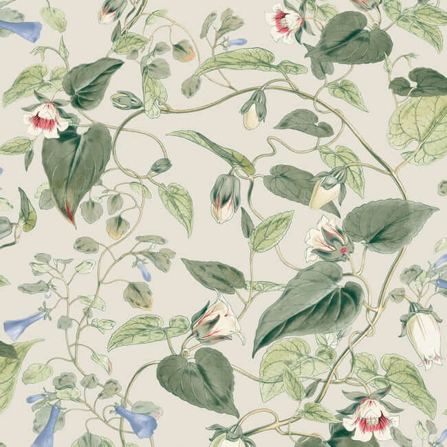 moon-flower-light-taupe-wallpaper-york-wallcoverings-bl1713 - York Wallcoverings Wallpaper
