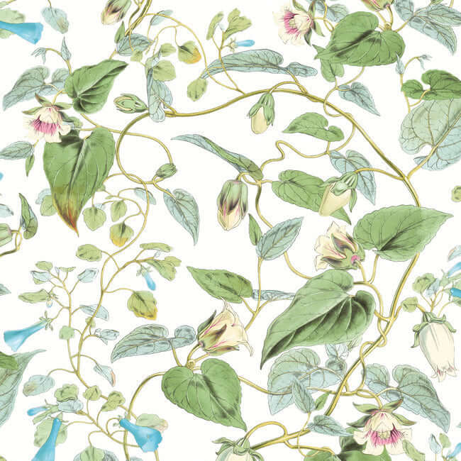 moon-flower-white-wallpaper-york-wallcoverings-bl1711 - York Wallcoverings Wallpaper