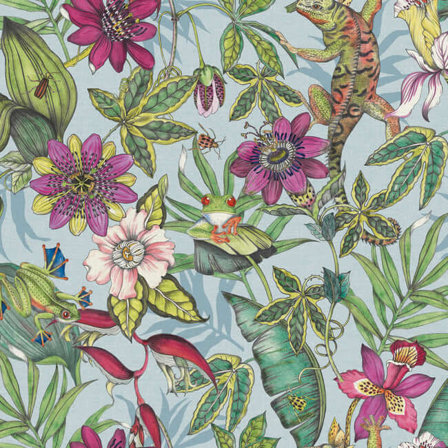 rainforest-multicolor-wallpaper-york-wallcoverings-bl1701 - York Wallcoverings Wallpaper