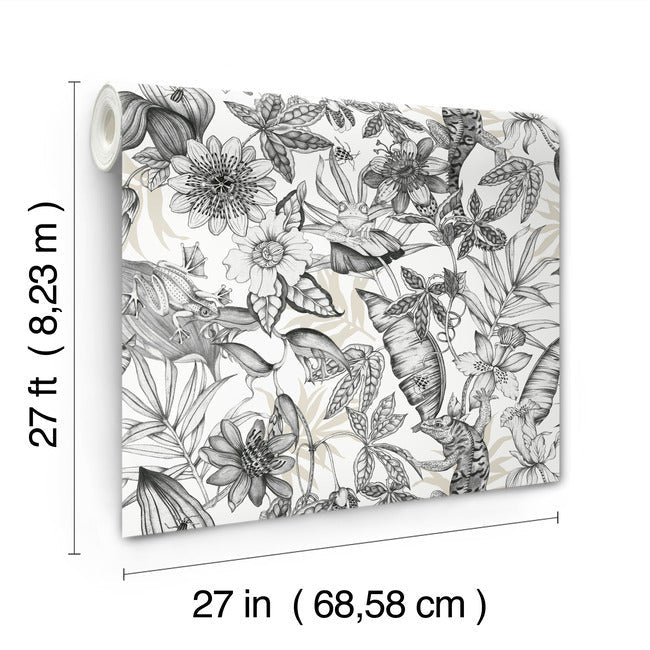 rainforest-wallpaper-white-charcoal-york-wallcoverings-bl1703
