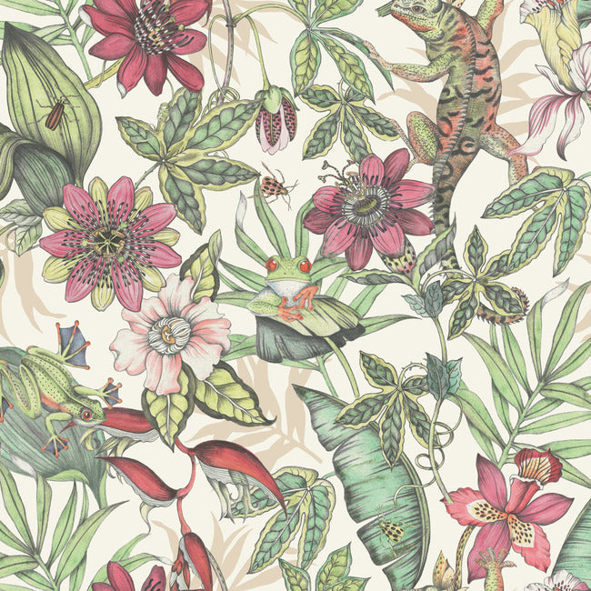 rainforest-wallpaper-white-soft-multi-york-wallcoverings-bl1702
