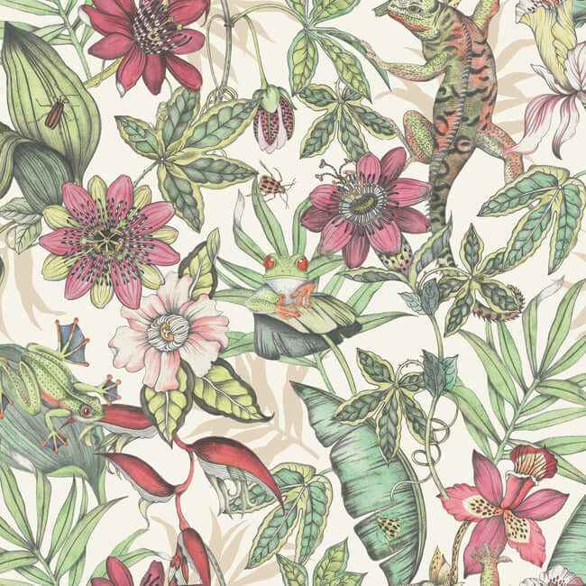 Rainforest Multicolor Wallpaper - York Wallcoverings - BL1702