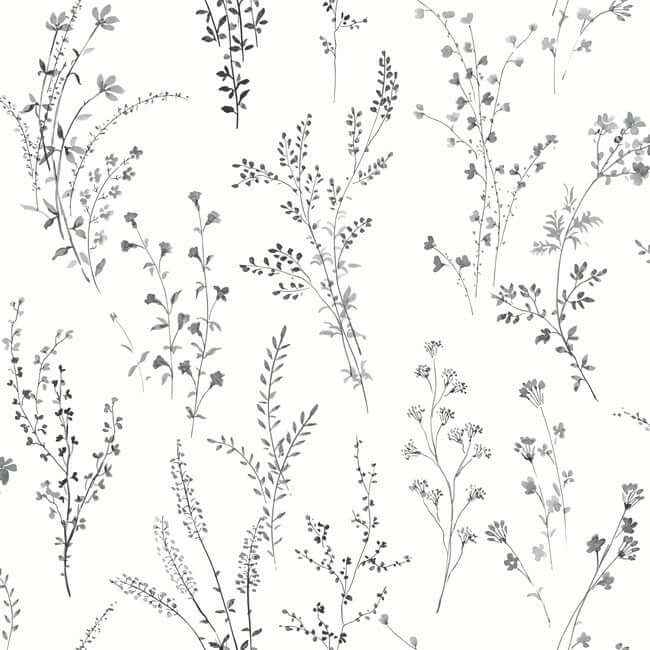 Wildflower Sprigs Black & White Peel & Stick Wallpaper - York Wallcoverings - PSW1522RL - York Wallcoverings Wallpaper