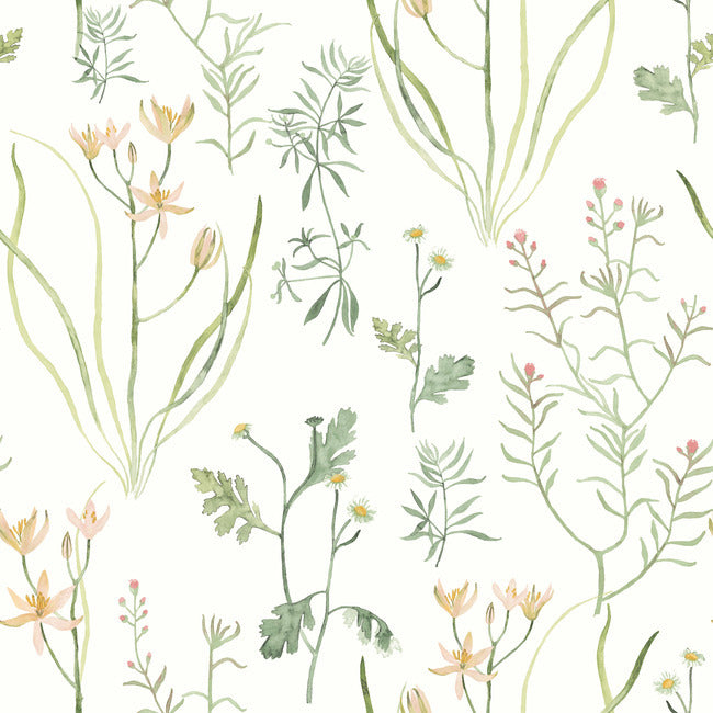 alpine-botanical-peel-and-stick-wallpaper-peach-york-wallcoverings-psw1519rl