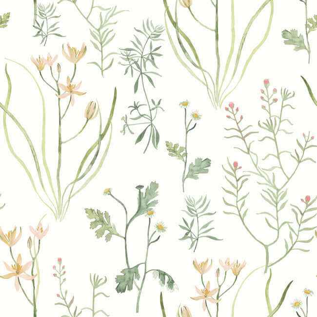 Alpine Botanical Peach Peel & Stick Wallpaper - York Wallcoverings - PSW1519RL - York Wallcoverings Wallpaper
