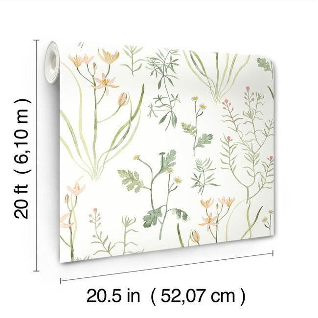 alpine-botanical-peel-and-stick-wallpaper-peach-york-wallcoverings-psw1519rl