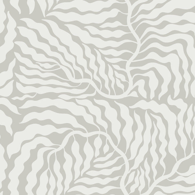 fern-fronds-wallpaper-grey-white-york-wallcoverings-ag2064