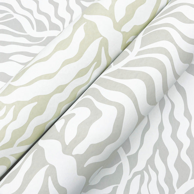 fern-fronds-wallpaper-grey-white-york-wallcoverings-ag2064