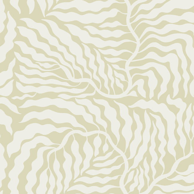 fern-fronds-wallpaper-light-green-white-york-wallcoverings-ag2065