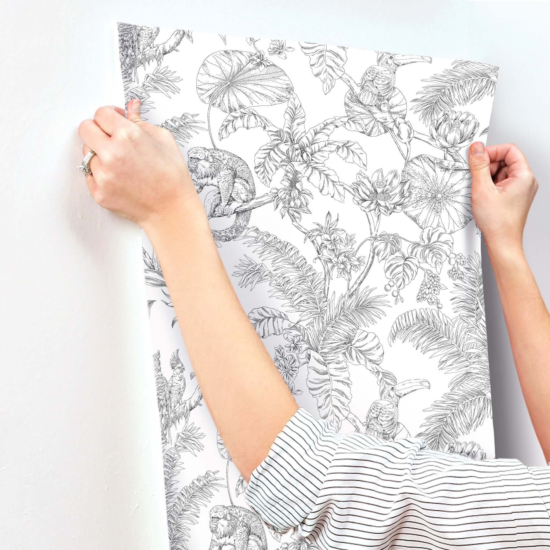 tropical-sketch-toile-wallpaper-black-york-wallcoverings-rt7841 - York Wallcoverings Wallpaper