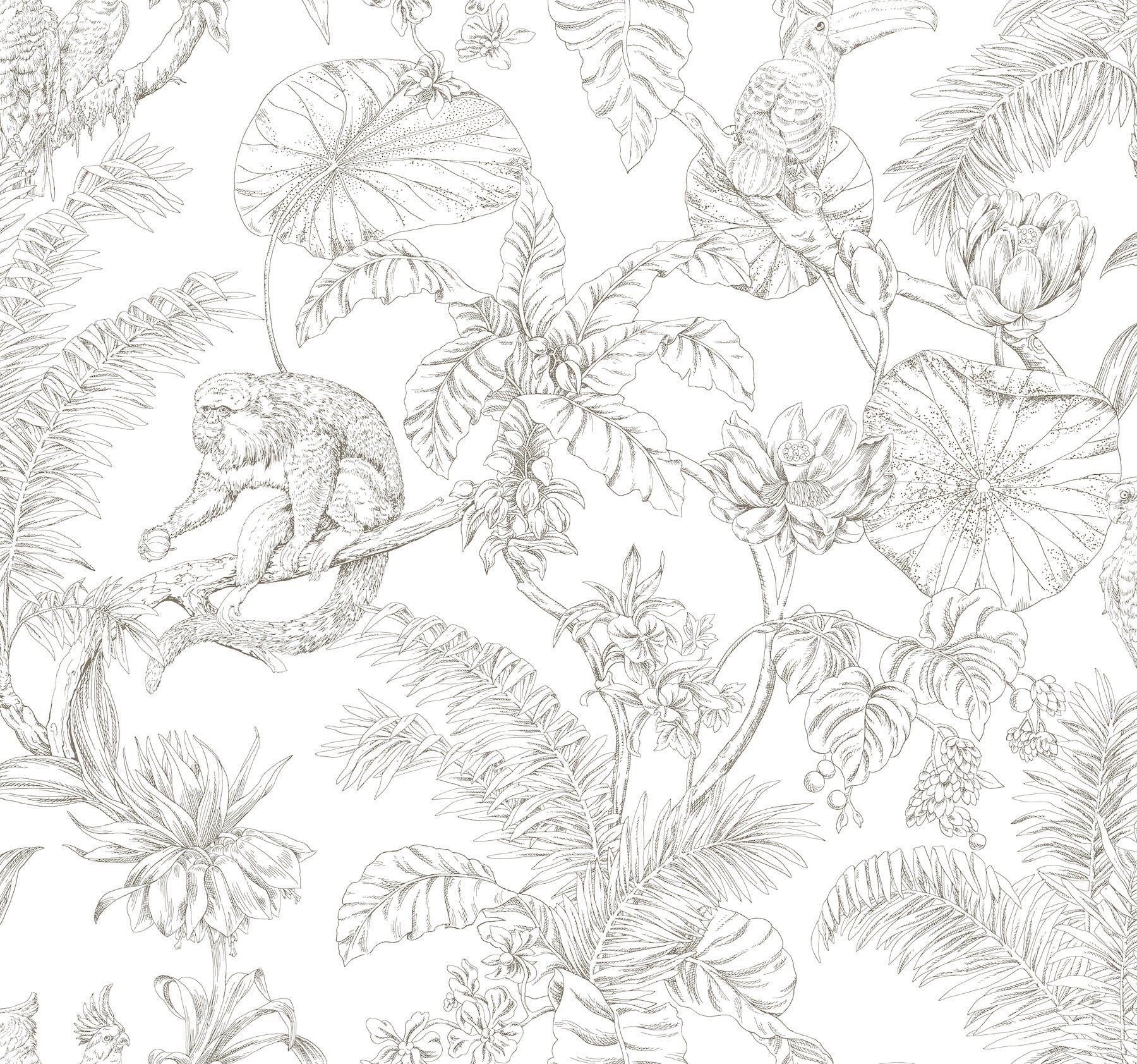 tropical-sketch-toile-wallpaper-brown-york-wallcoverings-rt7843
