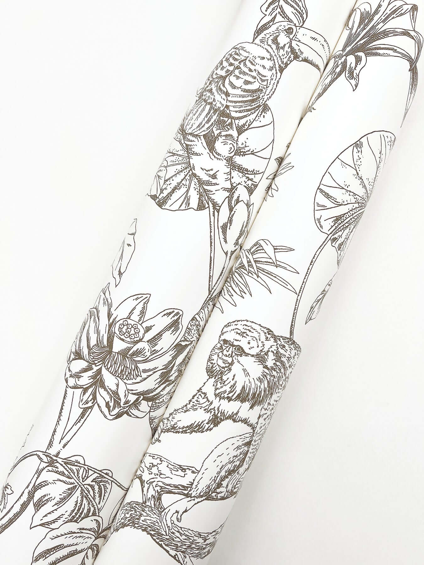 tropical-sketch-toile-wallpaper-brown-york-wallcoverings-rt7843 - York Wallcoverings Wallpaper