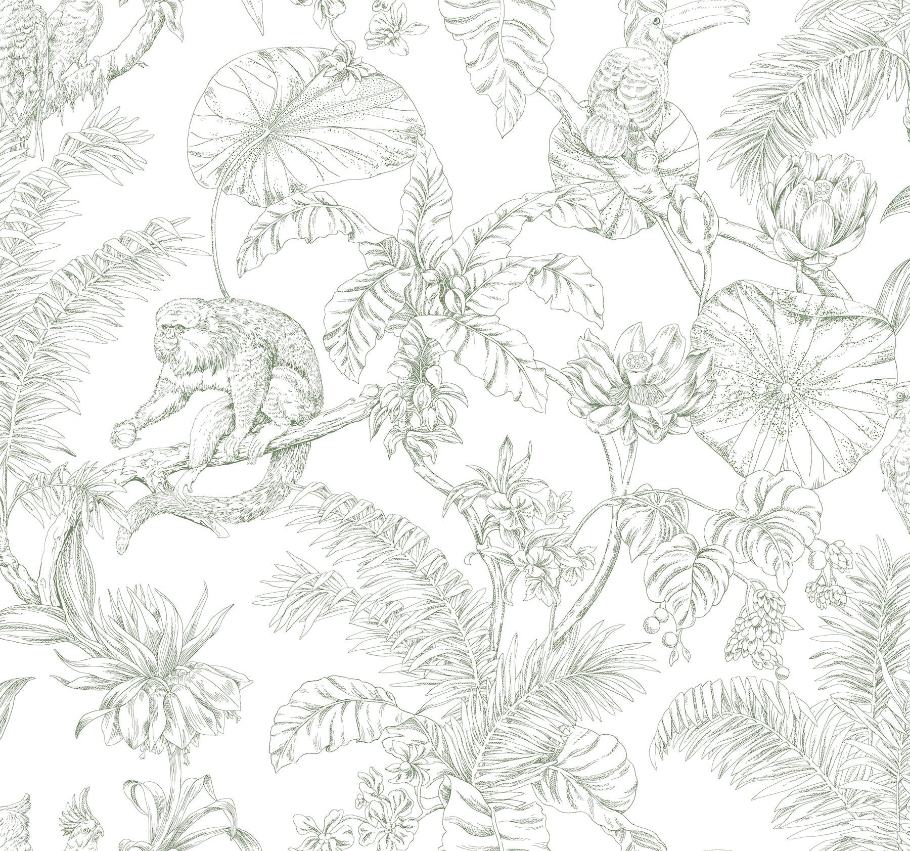 tropical-sketch-toile-wallpaper-forest-york-wallcoverings-rt7842