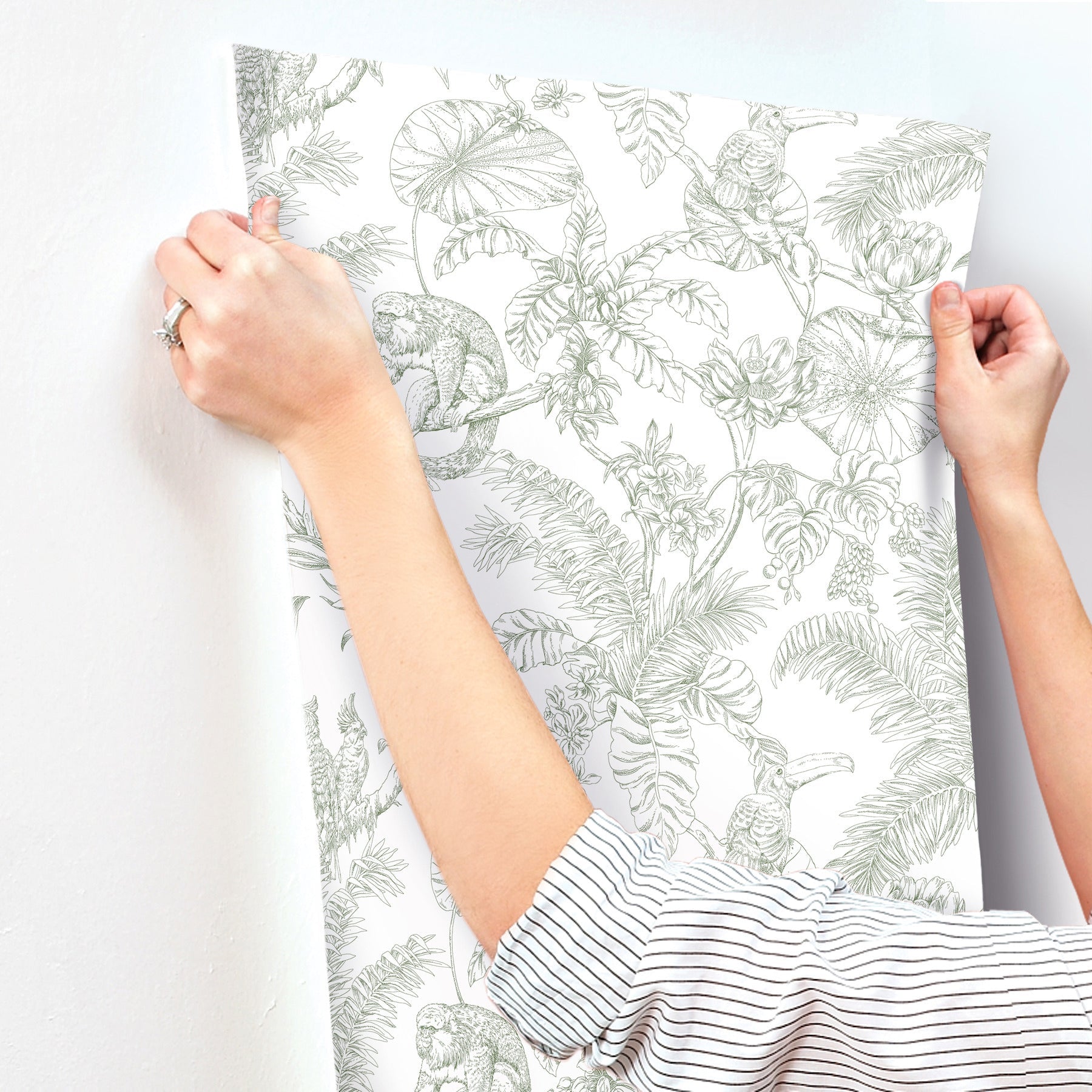 tropical-sketch-toile-wallpaper-forest-york-wallcoverings-rt7842