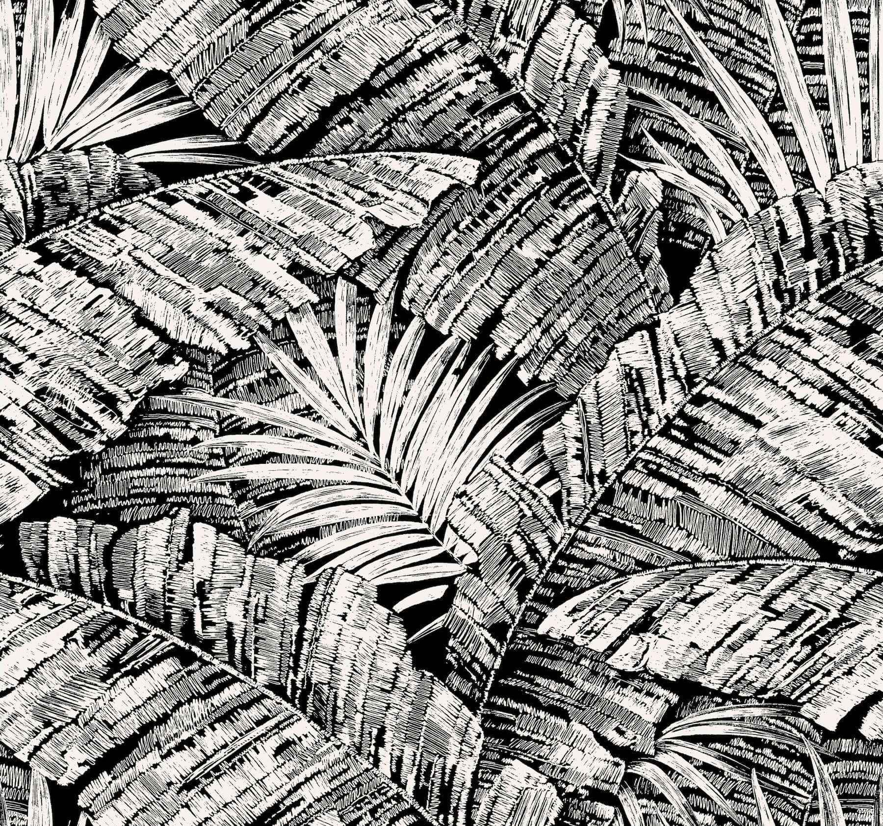 Palm Cove Toile White & Black Wallpaper - York Wallcoverings - RT7921 - York Wallcoverings Wallpaper