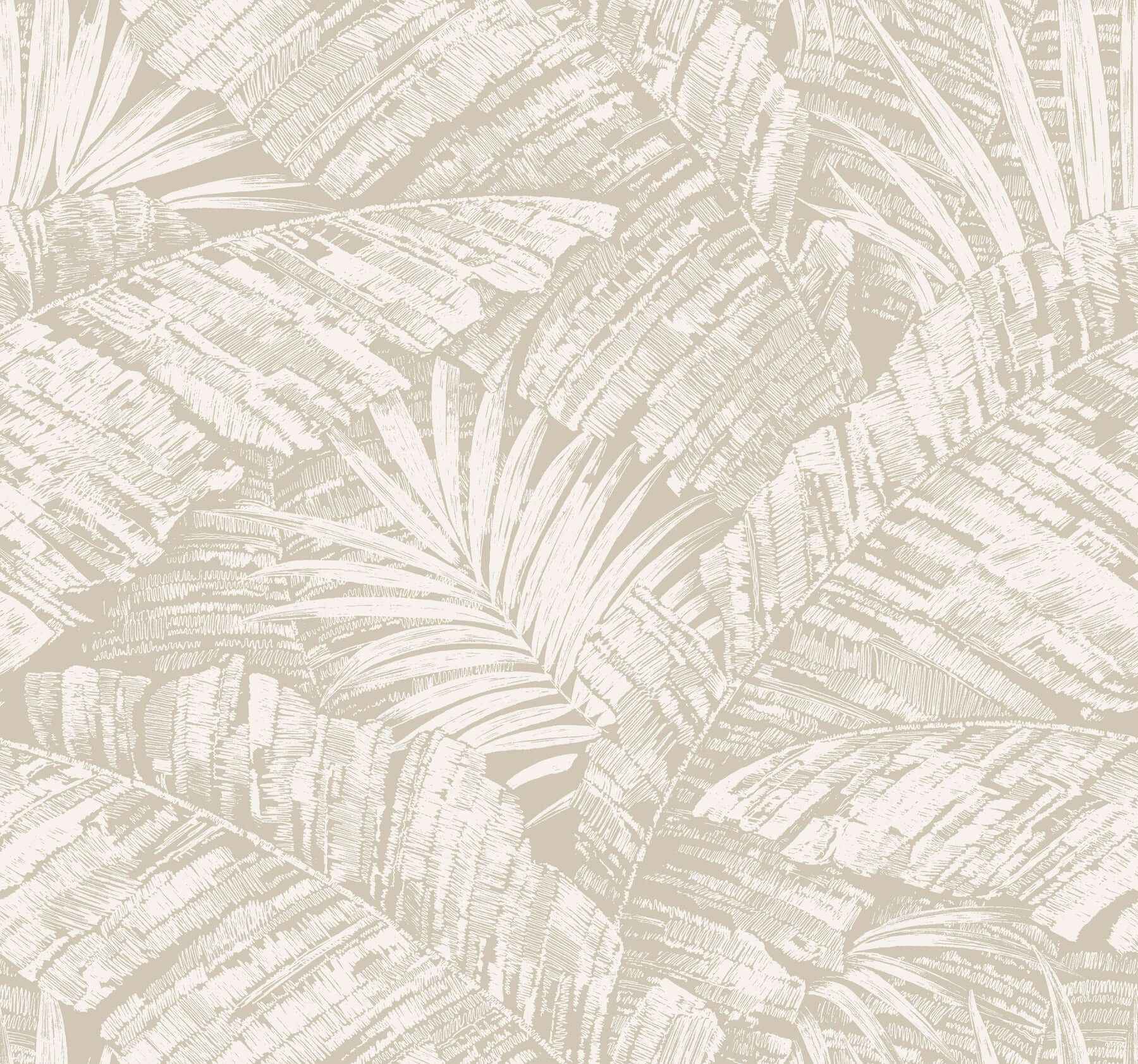 Palm Cove Toile White & Taupe Wallpaper - York Wallcoverings - RT7926