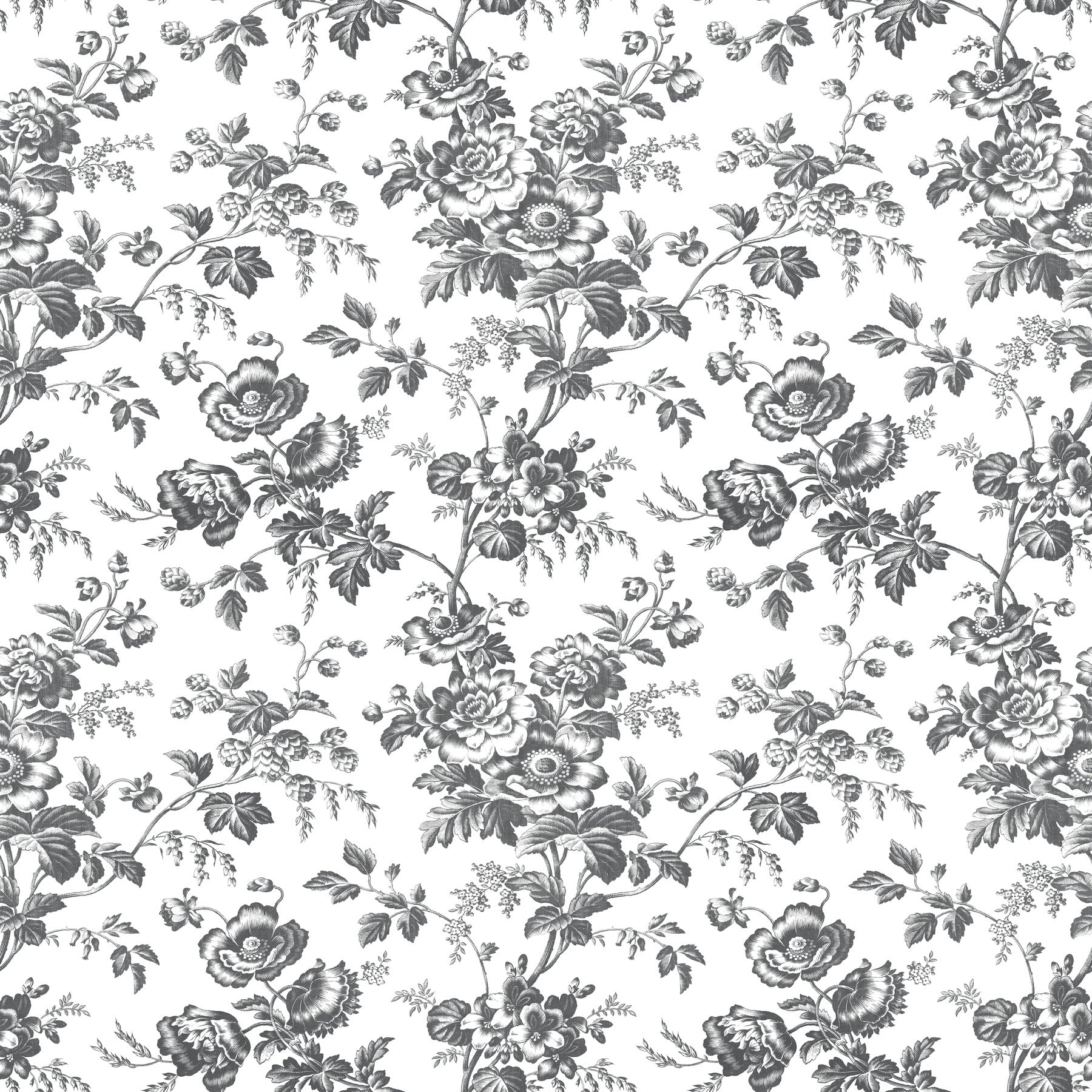 anemone-toile-wallpaper-black-york-wallcoverings-rt7875