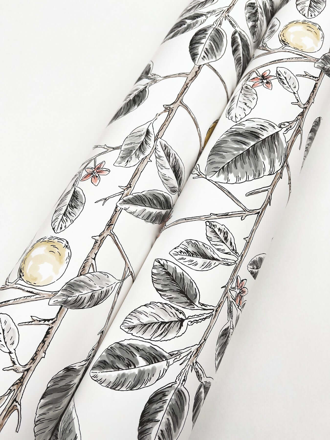 limoncello-toile-wallpaper-black-york-wallcoverings-rt7912 - York Wallcoverings Wallpaper