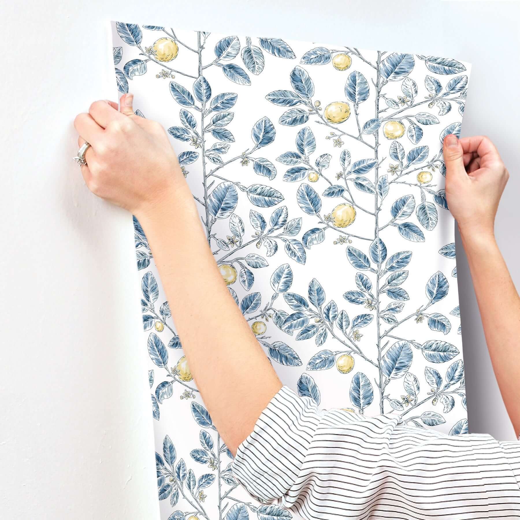 limoncello-toile-wallpaper-blue-york-wallcoverings-rt7913 - York Wallcoverings Wallpaper