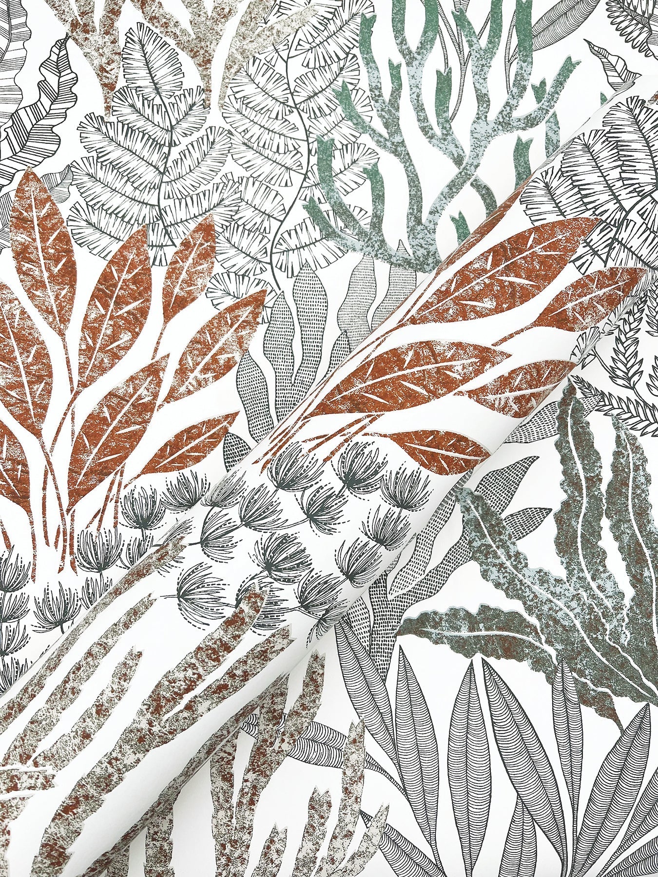coral-leaves-wallpaper-coral-black-york-wallcoverings-rt7801