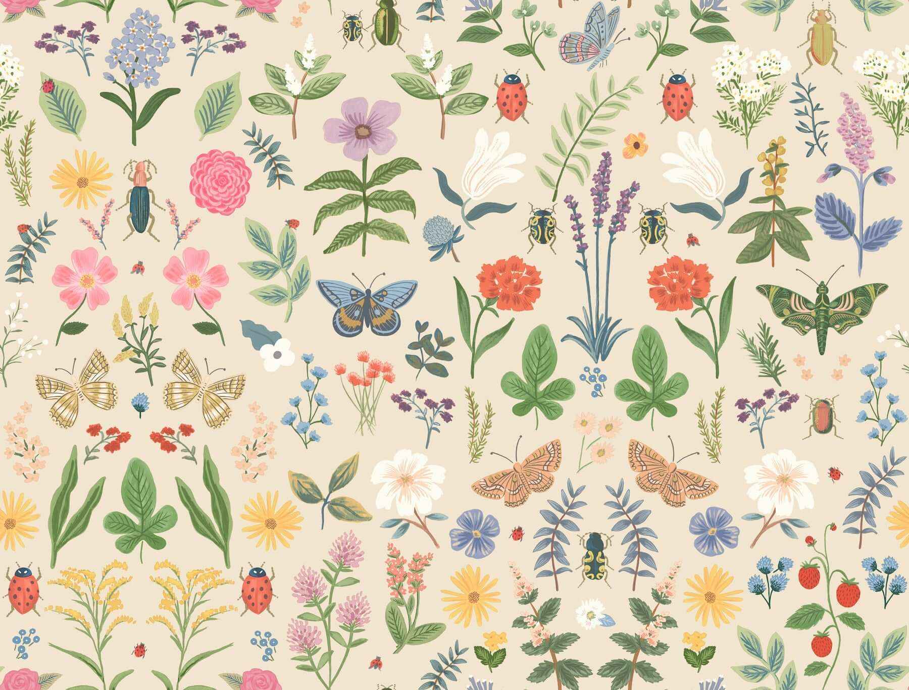 Curio Cream Peel & Stick Wallpaper - York Wallcoverings - PSW1542RL - York Wallcoverings Wallpaper