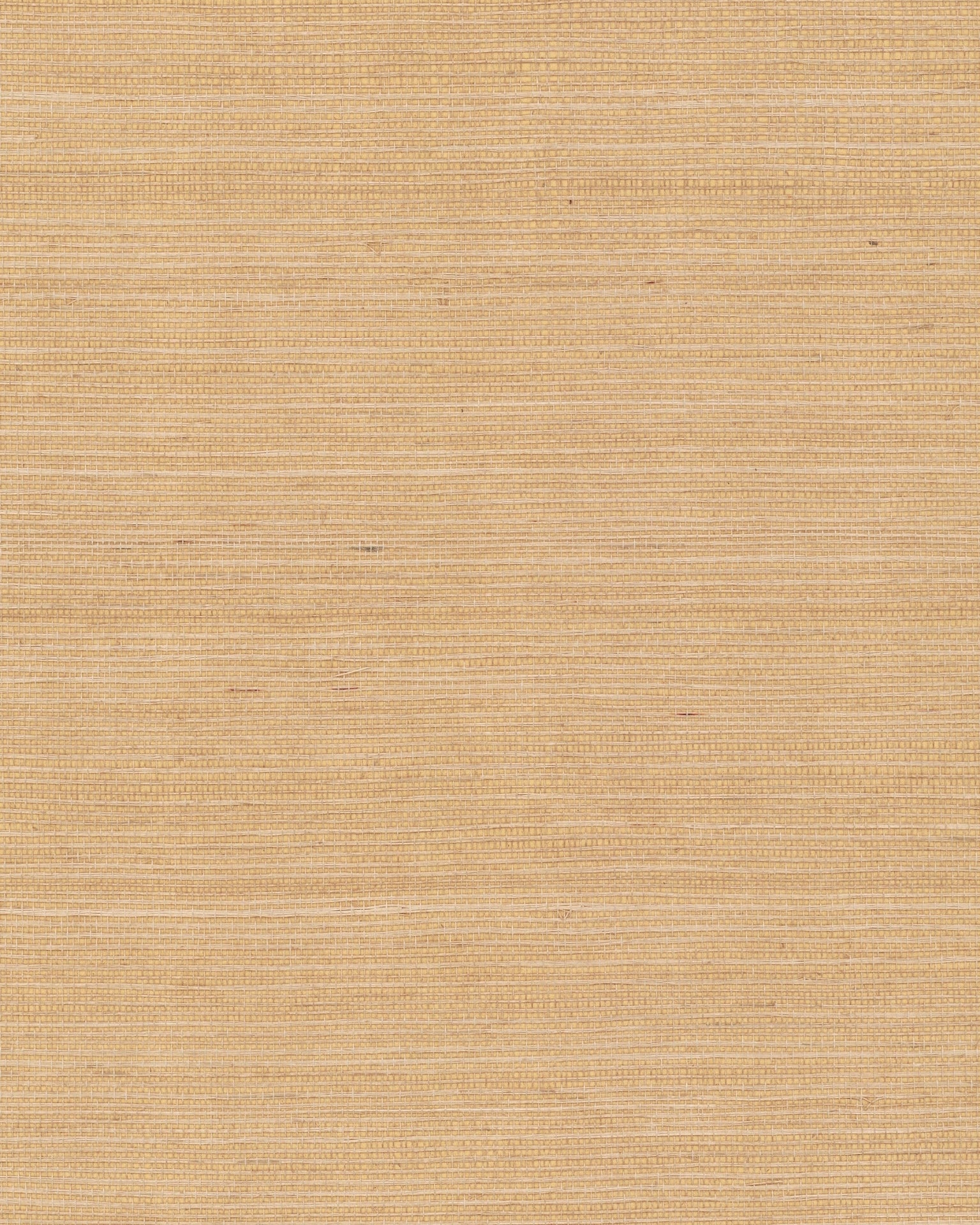 maguey-biscotti-sisal-wallpaper-biscotti-york-wallcoverings-gv0103nw