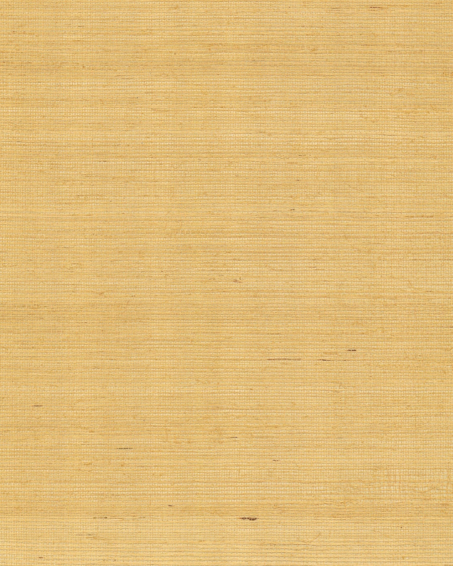 maguey-gold-and-beige-sisal-wallpaper-gold-and-beige-york-wallcoverings-gv0114nw