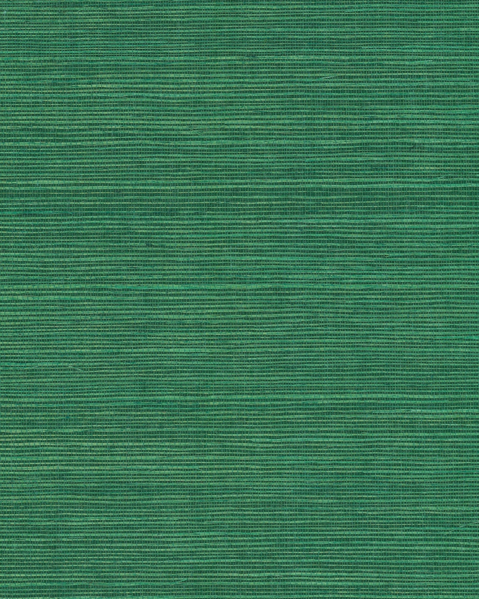 maguey-jade-sisal-wallpaper-jade-york-wallcoverings-gv0147nw