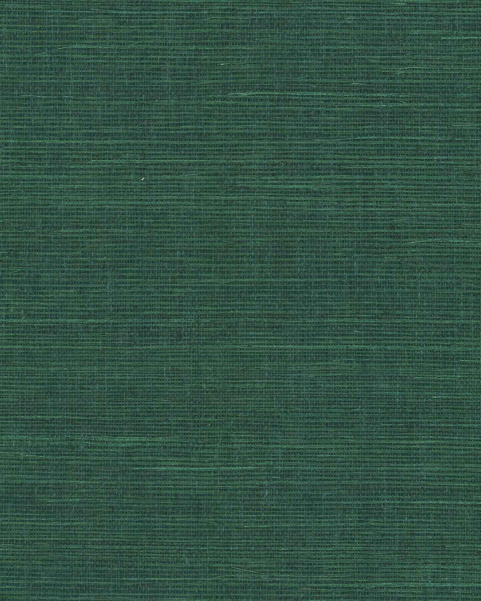 Maguey Sisal Forest Wallpaper - York Wallcoverings - GV0148NW - York Wallcoverings Wallpaper
