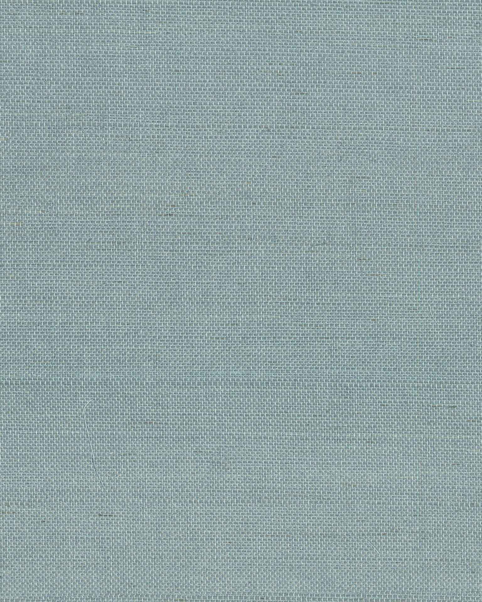 Maguey Sisal Dragonfly Wallpaper - York Wallcoverings - GV0153NW