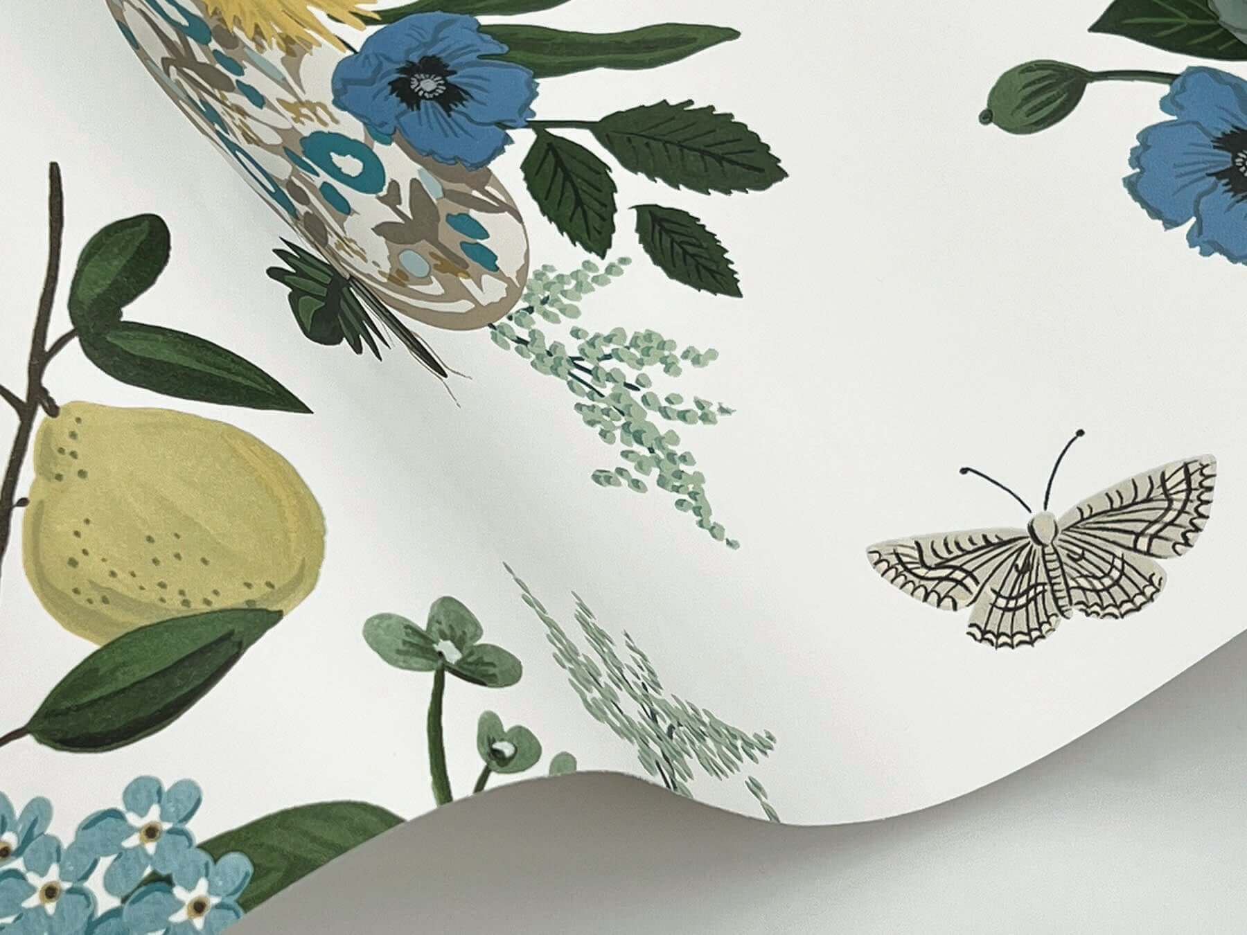 flower-studies-wallpaper-blue-multi-york-wallcoverings-rf7401 - York Wallcoverings Wallpaper