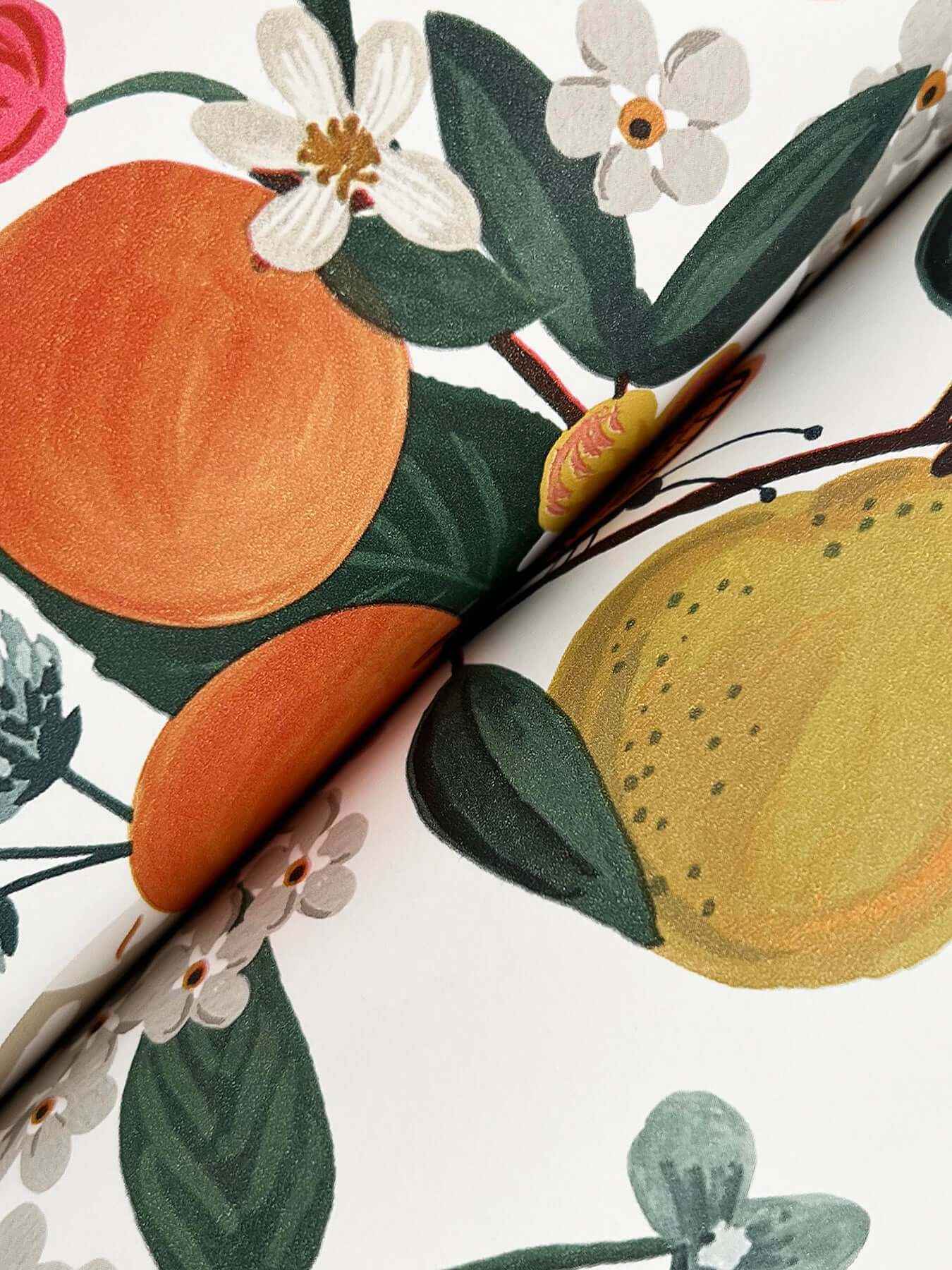 Flower Studies Rose Wallpaper - York Wallcoverings - RF7404 - York Wallcoverings Wallpaper