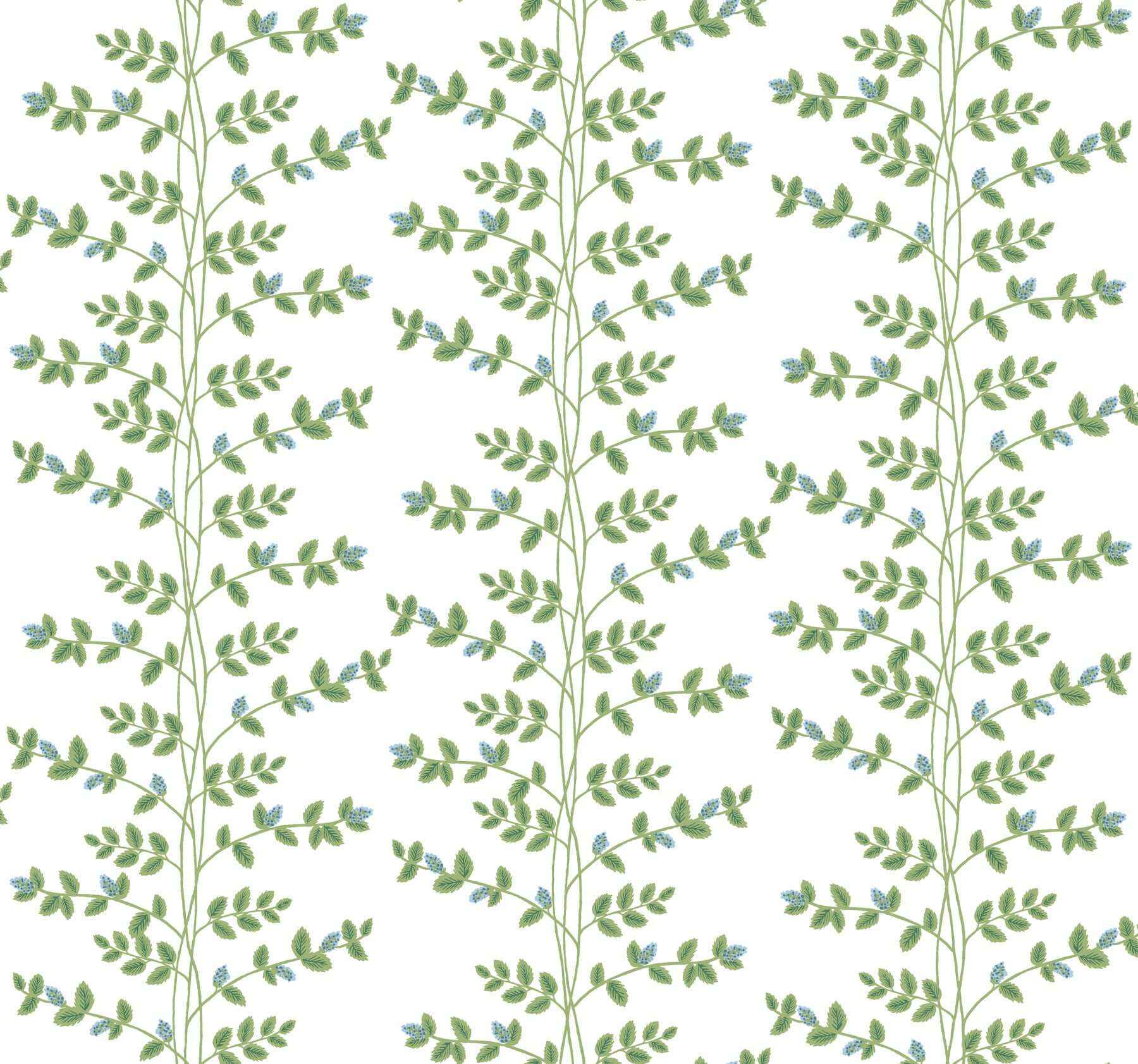 Climbing Vine Blue Wallpaper - York Wallcoverings - RF7425 - York Wallcoverings Wallpaper